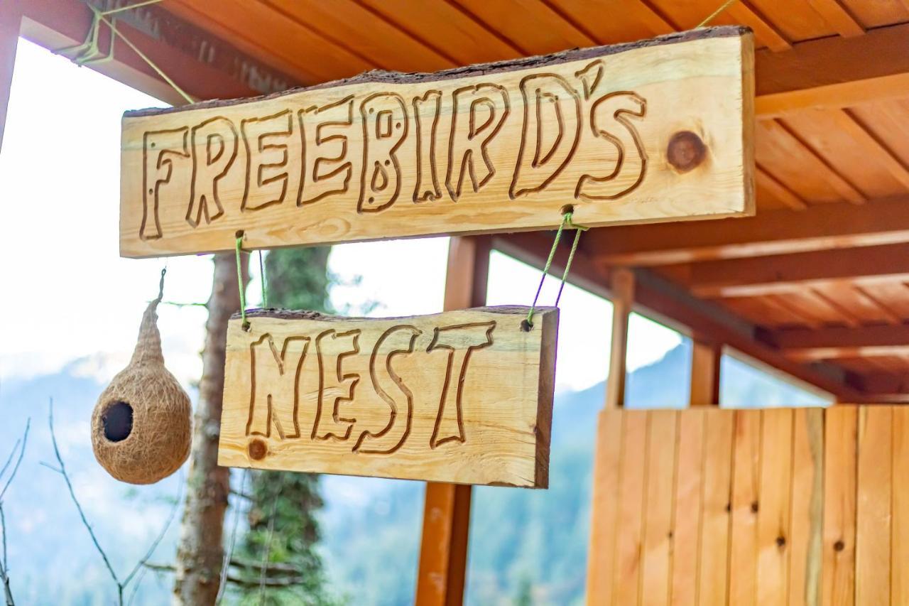 فندق Freebird Nest Jibhi المظهر الخارجي الصورة