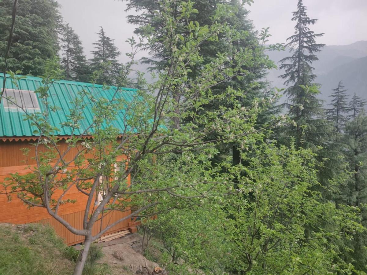 فندق Freebird Nest Jibhi المظهر الخارجي الصورة
