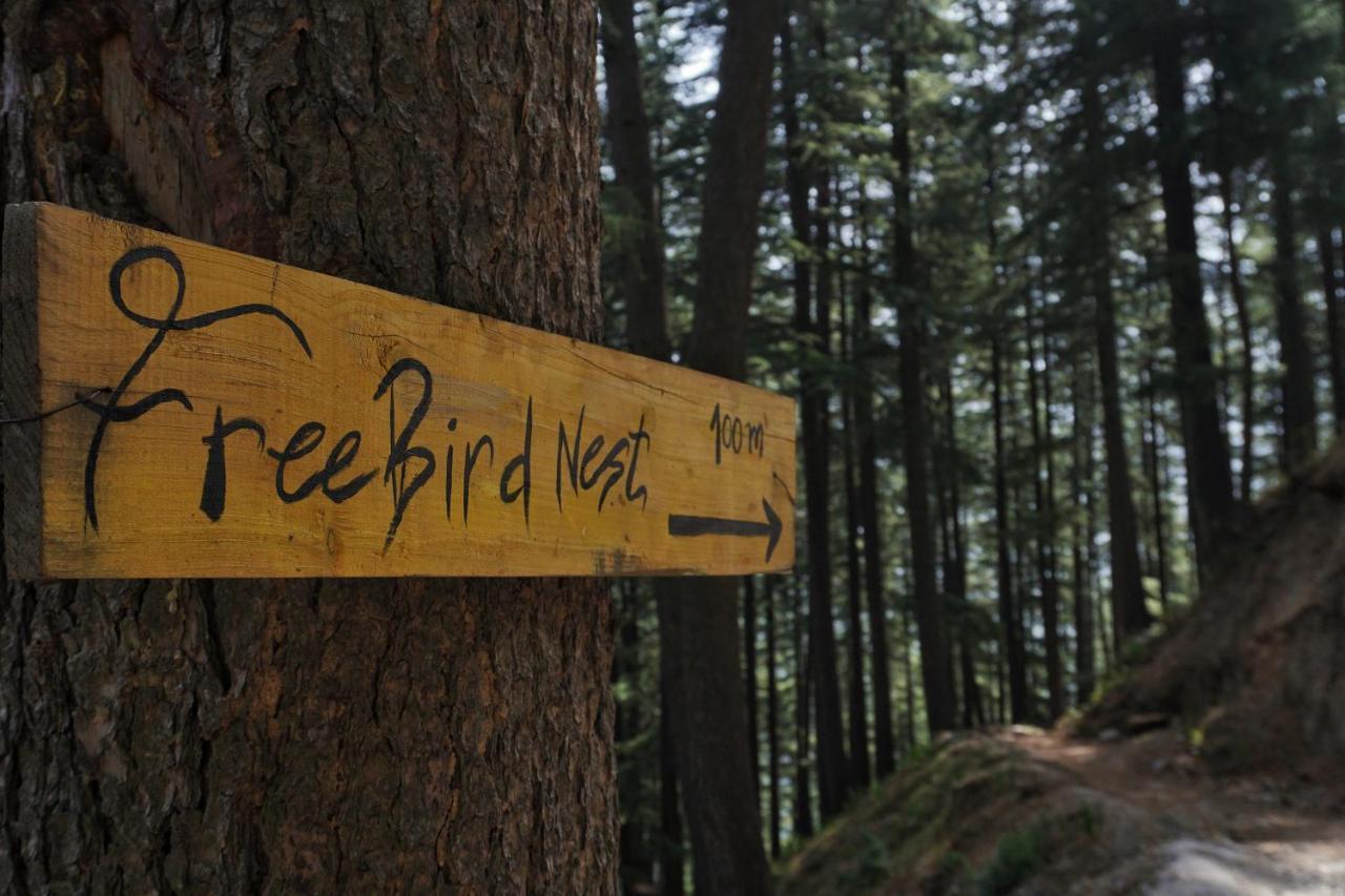 فندق Freebird Nest Jibhi المظهر الخارجي الصورة